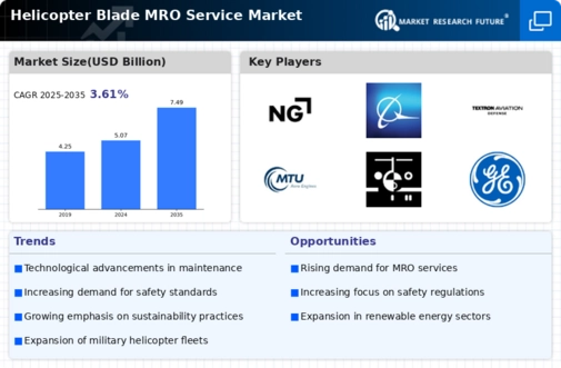 Helicopter Blade MRO Service Market Infographic