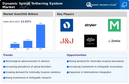Dynamic Spinal Tethering System Market Infographic