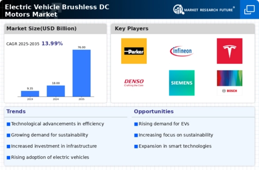 Electric Vehicle Brushless Dc Motors Market Infographic