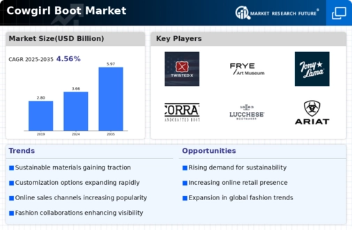 Cowgirl Boot Market Infographic