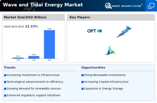 Wave and Tidal Energy Market Infographic