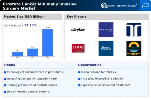 Prostate Cancer Minimally Invasive Surgery Market Infographic