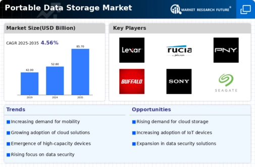 Portable Data Storage Market Infographic