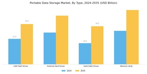 Portable Data Storage Market Segment Image 0