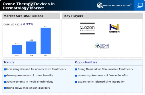 Ozone Therapy Devices in Dermatology Market Infographic