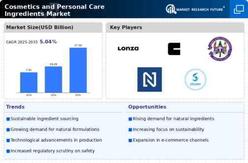 Cosmetics Personal Care Ingredients Market Infographic