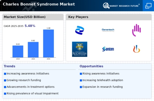 Charles Bonnet Syndrome Market Infographic