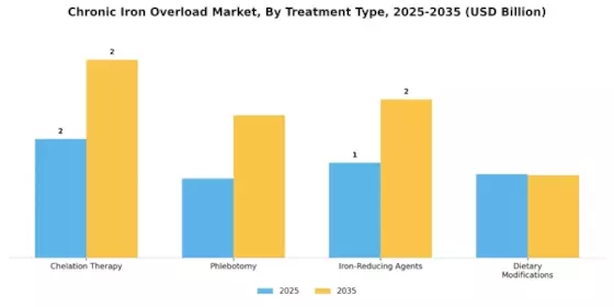 Chronic Iron Overload Market Segment Image 0