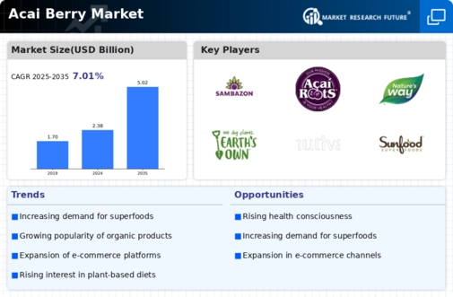 ACAI Berry Market Infographic