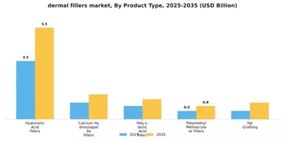 Dermal Fillers Market Segment Image 4