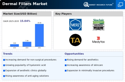 Dermal Fillers Market Infographic