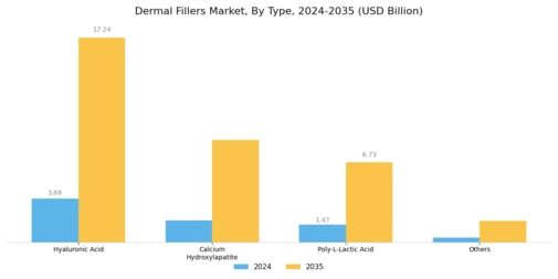 Dermal Fillers Market Segment Image 0