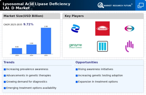 Lysosomal Acid Lipase Deficiency Market Infographic