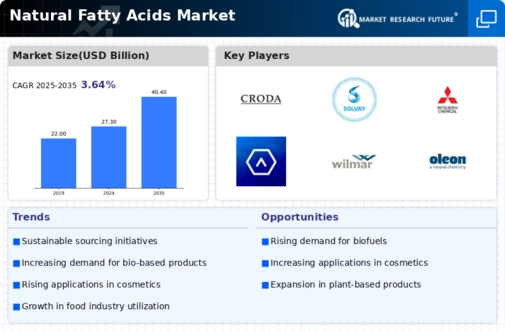 Natural Fatty Acids Market Infographic