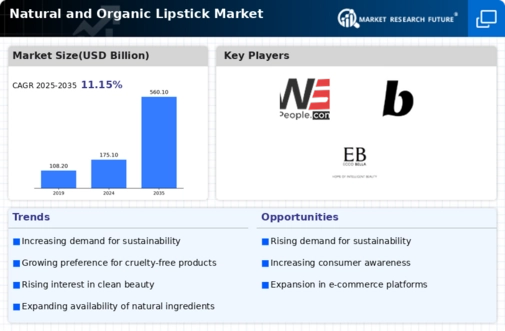 Natural Organic Lipsticks Market Infographic