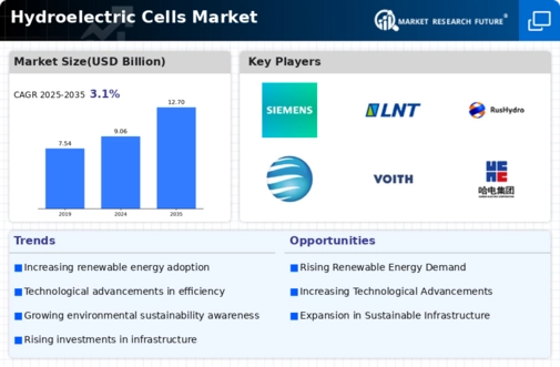 Hydroelectric Cells Market Infographic