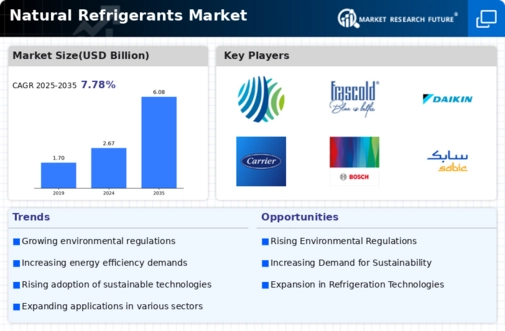 Natural Refrigerants Market Infographic