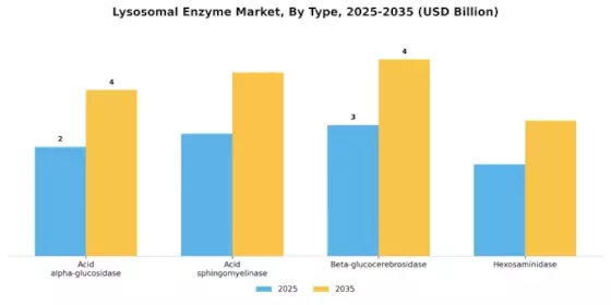 Lysosomal Enzyme Market Segment Image 1