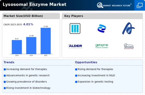 Lysosomal Enzyme Market Infographic