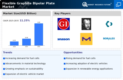 Flexible Graphite Bipolar Plate Market Infographic