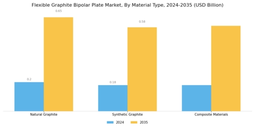 Flexible Graphite Bipolar Plate Market Segment Image 1