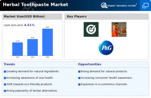 Herbal Toothpaste Market Infographic Herbal Toothpaste Market Infographic