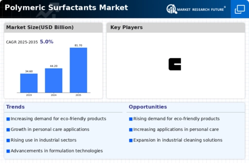 Polymeric Surfactants Market Infographic