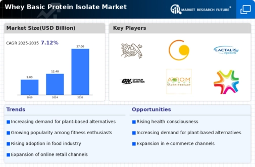 Whey Basic Protein Isolate Market Infographic