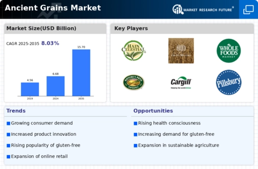 Ancient Grains Market Infographic