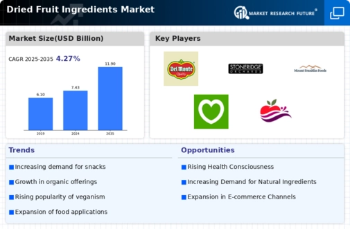 Dried Fruit Ingredients Market Infographic