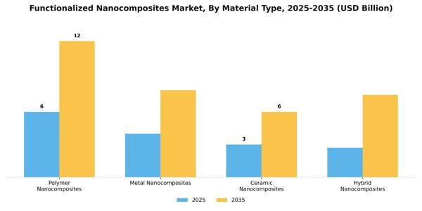 Functionalized Nanocomposites Market
 Segment Image 3