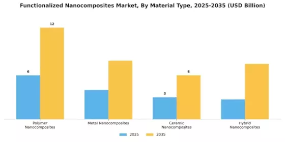 Functionalized Nanocomposites Market
 Segment Image 1