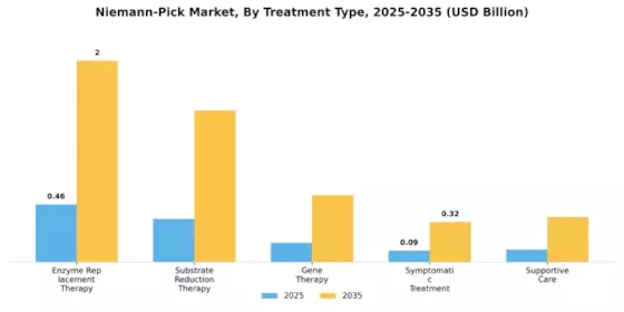 Niemann-Pick Market Segment Image 1