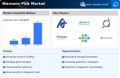 Niemann-Pick Market Infographic