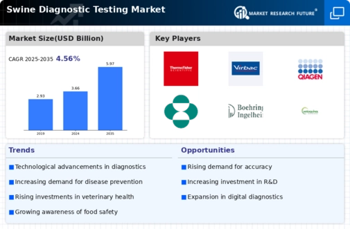 Swine Diagnostic Testing Market Infographic