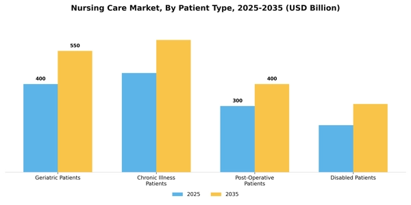 Nursing Care Market Segment Image 2