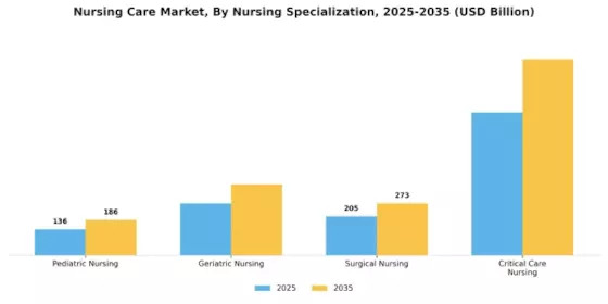 Nursing Care Market Segment Image 3