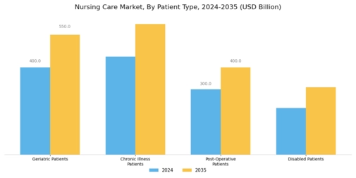 Nursing Care Market Segment Image 1