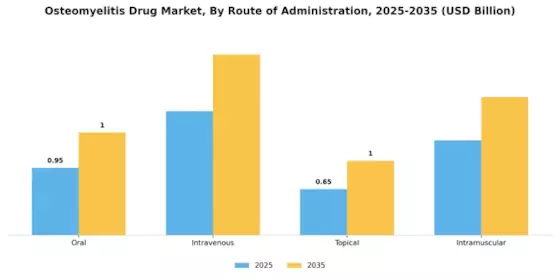 Osteomyelitis Drug Market Segment Image 1