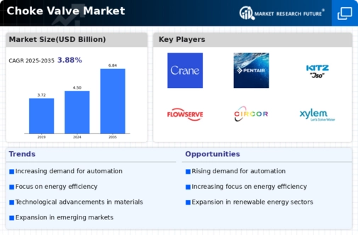 Choke Valve Market Infographic
