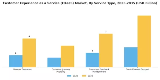 Customer Experience As A Service Market Segment Image 0