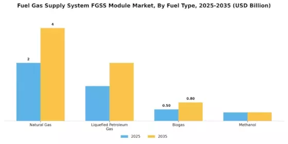 Fuel Gas Supply System Module Market Segment Image 3