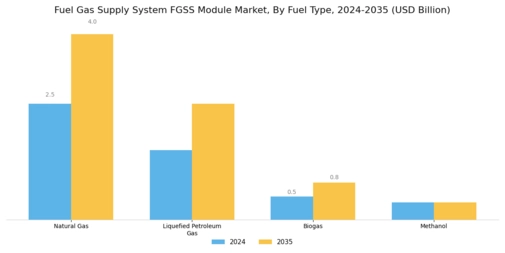 Fuel Gas Supply System Module Market Segment Image 3