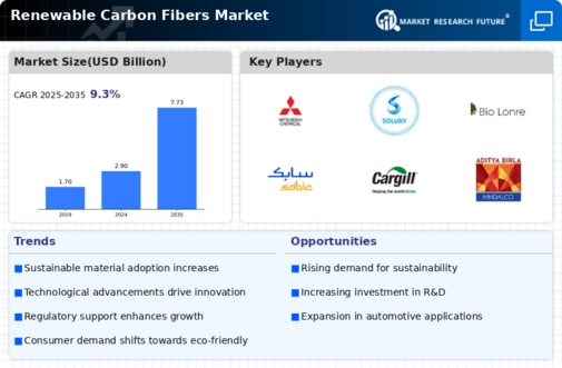 Renewable Carbon Fibers Market Infographic