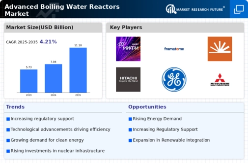 Advanced Boiling Water Reactors Market Infographic
