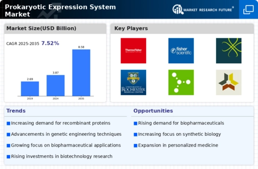 Prokaryotic Expression System Market Infographic