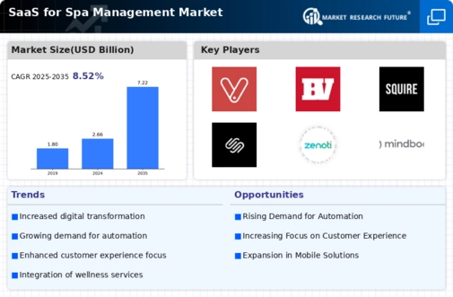 SaaS for Spa Management Market Infographic