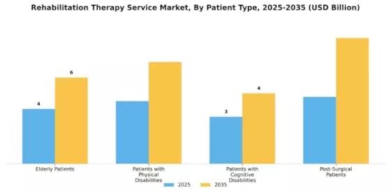 Rehabilitation Therapy Service Market Segment Image 2