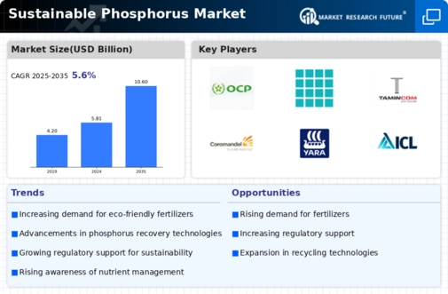 Sustainable Phosphorus Market Infographic