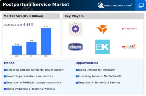 Postpartum Service Market Infographic